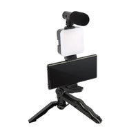 Multifunctional Desktop Beauty Leg Light with Microphone